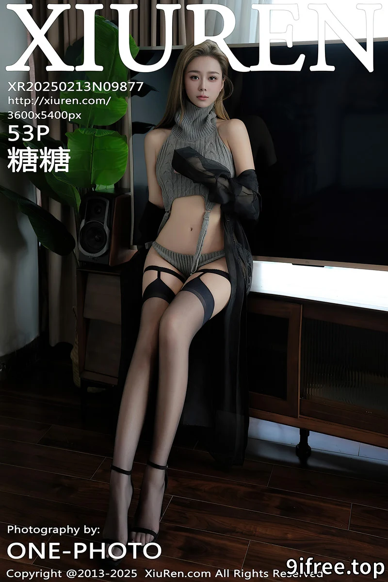 [XiuRen秀人网] NO.9877 模特糖糖❤性感灰色毛衣服饰配黑丝吊袜秀曼妙身姿迷人诱惑写真